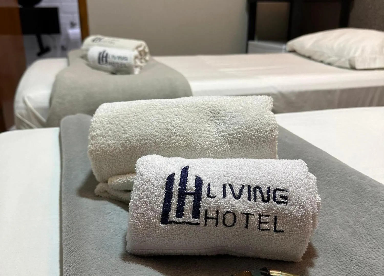 Hotel Morumbi ساو باولو البرازيل